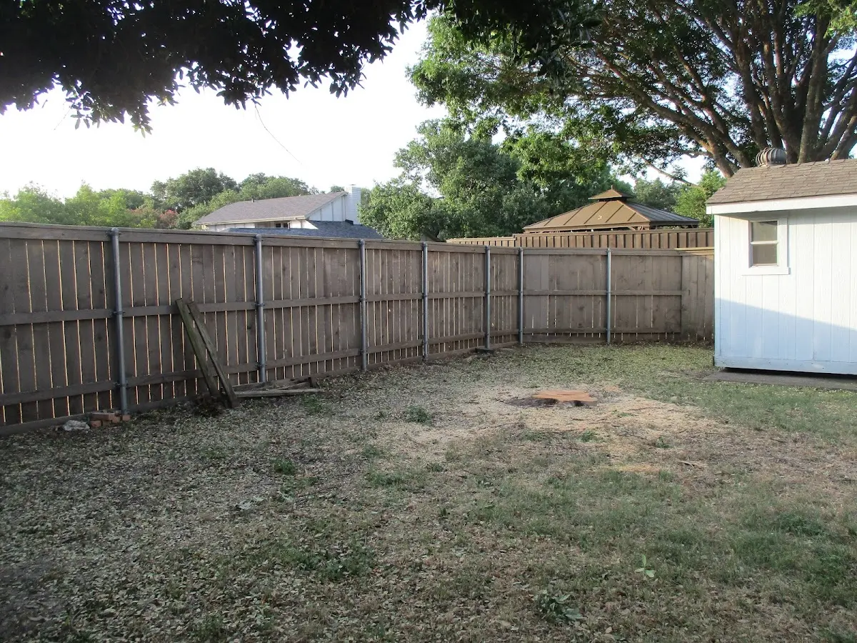 Cleared yard after professional tree removal in Ary