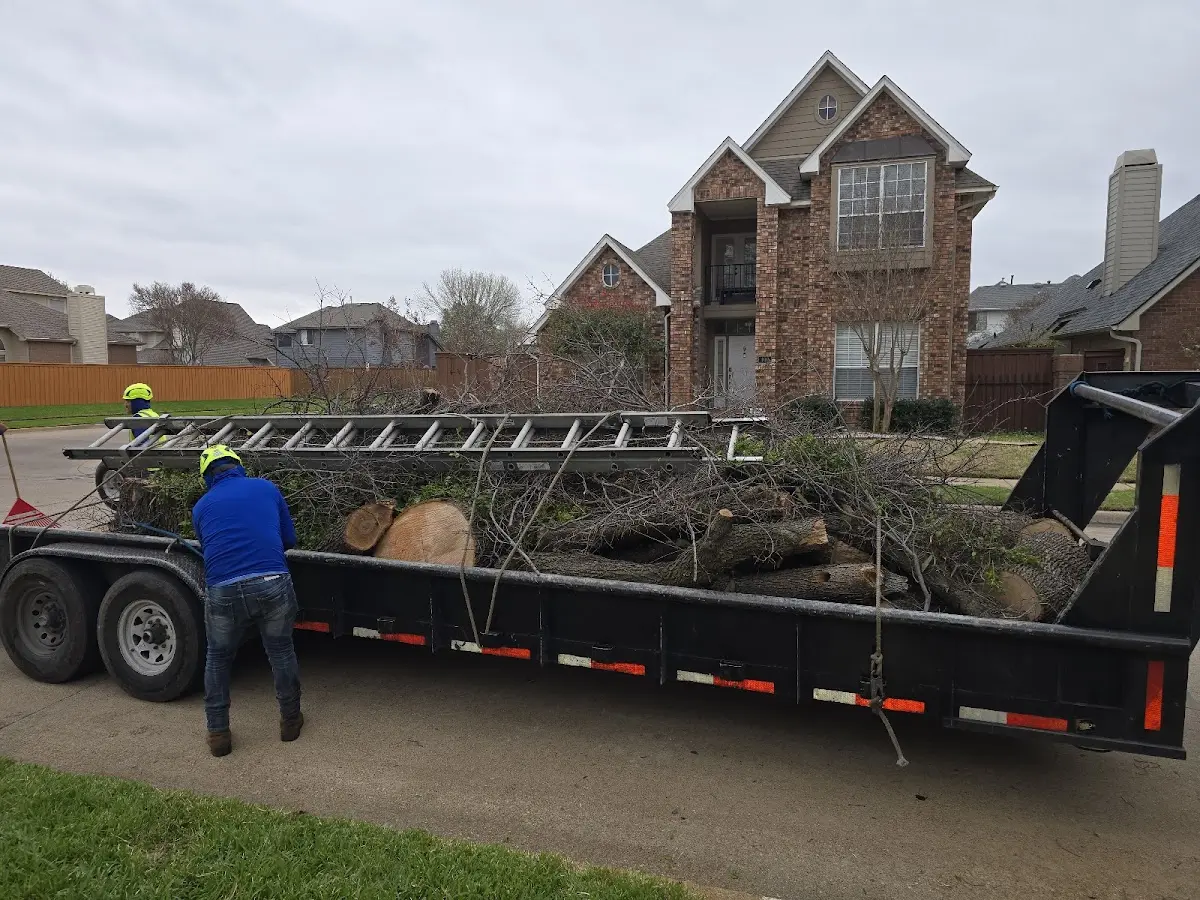 Expert Lot Clearing with proper safety equipment in Ary